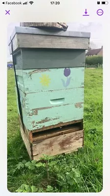 Bee Hive Under Floor Entrance Floor • £30