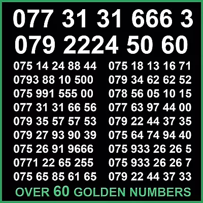 Easy Remember Mobile Phone Number VIP Gold SIM Card Platinum Diamond Business O2 • £14.99