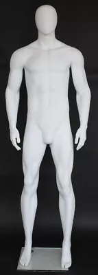 6 Ft 4 In H Male Abstract Head Mannequin Muscular Body Torso Mannequin SFM52E-WT • $339.95