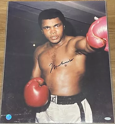 MUHAMMAD ALI Signed Autographed 16x20 Photo Steiner • $1200