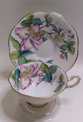 Vintage Rosina Tea Cup & Saucer English Signed A. Bentley Pinks & Greens • $25