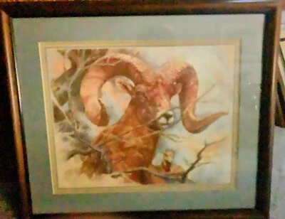 $30 • Buy K. MAROON BIG HORN SHEEP Print 1983 Signed 