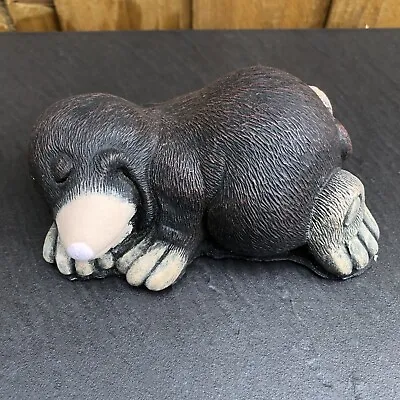 Small Cute Sleepy Mole - Painted Stone Garden Ornament - Mole15 • £11