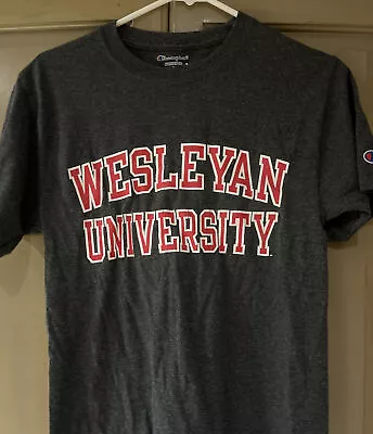 Vtg 90s Champion Athletic Wesleyan University Tee Shirt Heather Gray Arch Logo S • $15