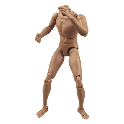 ZY Toys 12  Muscular Male Action Figure Body Fit 1/6 Scale Hot Toys Head Sculpt • $23.26