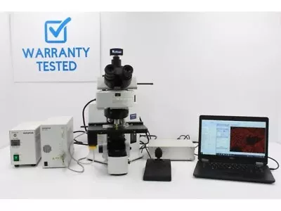 Olympus BX61 Fluorescence Microscope With Motorized XY Stage (New Filters)  • $11495