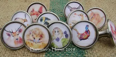 £49.99 • Buy Wildlife/animals Cupboard Cabinet Drawer Knobs Handles Silver Metal/glass 
