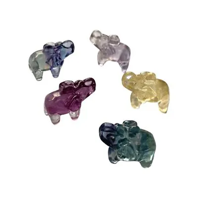 Rainbow Fluorite Mini Elephant 1.5x1cm • £3.95