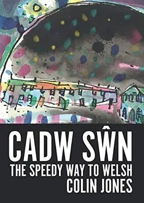 Cadw Swn The Speedy Way To Learn Welsh • £35.44