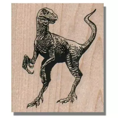 DINOSAUR Rubber Stamp MonsterJurassic Movie Scary Creature Velociraptor Raptor • $10.74