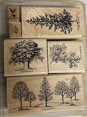 Stampin' Up! Lovely As A Tree Maple Oak Pine Tree Leaves Nature 6 Stamps • $24.99