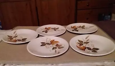 Washington Pottery Autumn Leaves Side Plates X 5. 17.5cm 7  Dia. All In VGC • £18