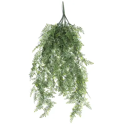 NNEDSZ Hanging Plant (Maiden Hair Fern) UV Resistant 90cm • $64.35