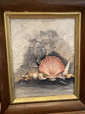 Vtg Shell Art Picture Scallop Shell Framed • $15