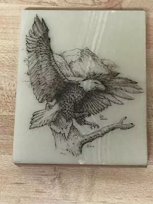 Beautiful Eagle Etched In Marble Signed & Dated By Artist Jim Dodson 1986 • $10