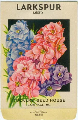 Vintage Flower Seed Packet LARKSPUR Mixed   NO SEEDS  1920s  Original Lithograph • $8
