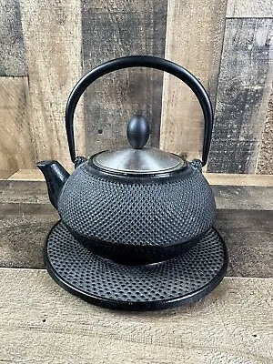 Vintage Japanese Cast Iron Teapot  Oriental Brewing Pot • $99.99