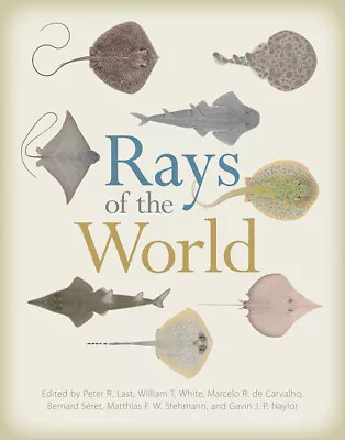 Rays Of The World • $148.10