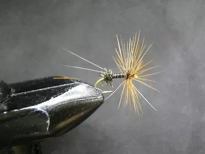 1 Dozen  Dry Flies Black Mosquito For Fly Fishing-sec 12 • $8.50