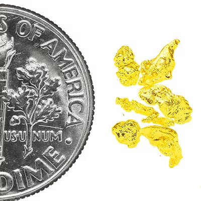0.3122 Gram Alaska Natural Gold Nuggets - (#77370) - 6pcs Alaskan Gold Nuggets • $1.25