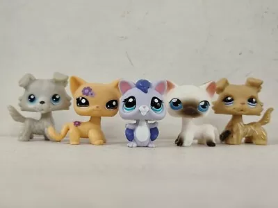 5pcs/lot LPS Toys Littlest Pet Shop Cat Dog Squirrel #363#1962#5#1194 Figures • £15.59