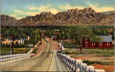 Vintage New Mexico Postcard - Las Cruces - Organ Mountains • $5.49