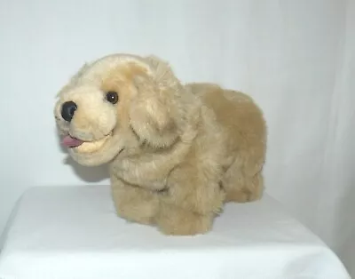 My Twinn Posable Pets Retired Golden Retriever Puppy Dog Posable • $14.93