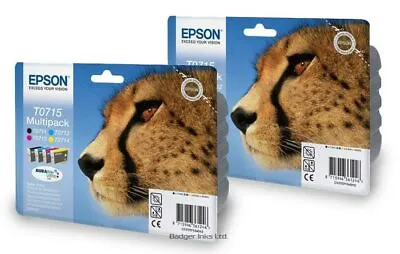 £96.98 • Buy T0715 X2 Multipack Epson Original Ink Cheetah Inks C13T07154010