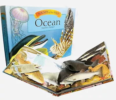 Sounds Of The Wild: Ocean Maurice Pledger Pop Up Sound Book New • $63