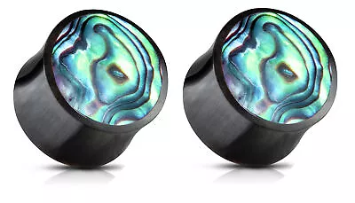 Zaya Body Jewelry Pair Abalone Shell Organic Buffalo Plugs Ear Gauges 2g 0g 00g  • $16.99