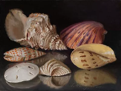 Original Oil Painting Still Life Realism Seashells 12x9 Inch Y Wang Fine Art • $119