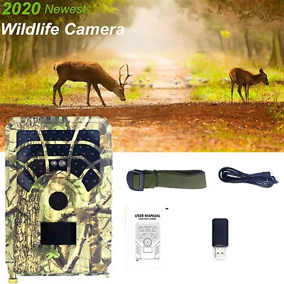 Garden HD Hunting Camera Deer Wildlife Scouting Trail Game Cam   • £23.42