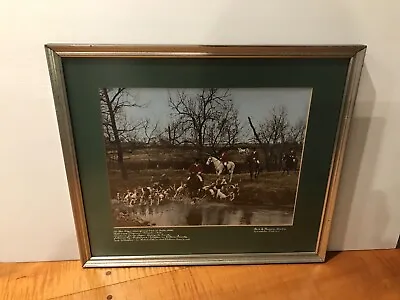 FAMOUS FoxHunt Hounds Horses Photograph WARRENTON VA. MARSHALL P HAWKINS 1972 • $1249.99