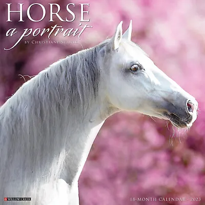 $15.99 • Buy Horse: A Portrait 2023 12  X 12  Wall Calendar (Free Shipping)