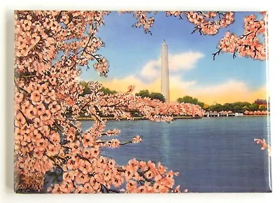 Washington DC Cherry Blossom FRIDGE MAGNET Travel Souvenir • $7.49