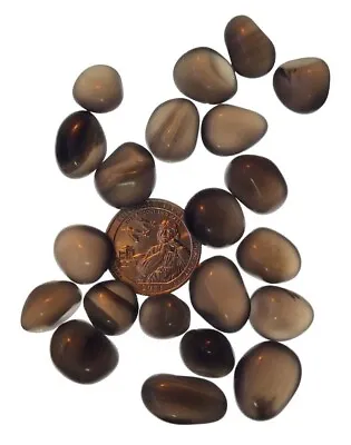 Apache Tears Healing Root Chakra Stones For Reiki Obsidian Gems Tumbled 1oz  • $7