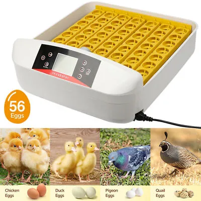 56 Egg Incubator Automatic Auto Turning Chicken Poultry Pigeon Quail Egg Hatcher • $99.95