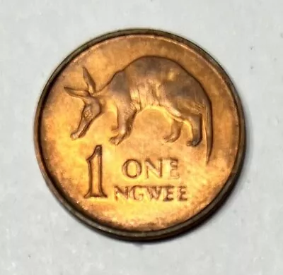 Zambia 1 Ngwee 1983 Coin • $1.25