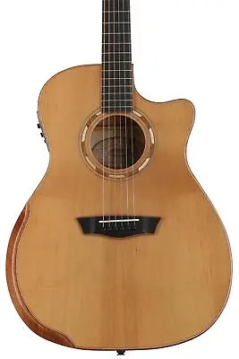 Washburn Comfort G66SCE Spalt Maple - Natural • $899