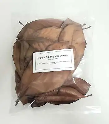 Magnolia Leaves 30 Grams/Bag Jungle Bob • $9.99