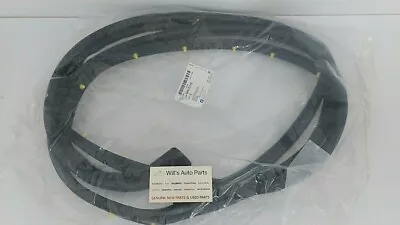 Genuine New Lh Rear Door Weather Strip Assy Suits Daewoo Matiz 2001-2004 Jyh • $63.70