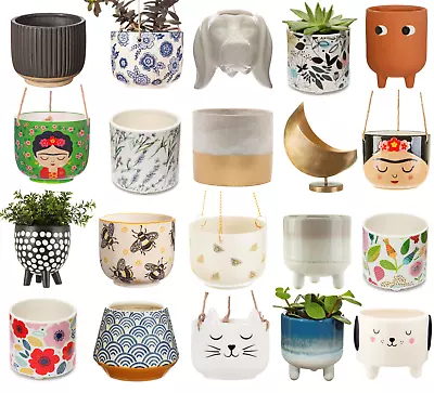 £5.95 • Buy Garden Plant Pot Hanging Planter Basket Pot Plants Holder Closing Down Sale