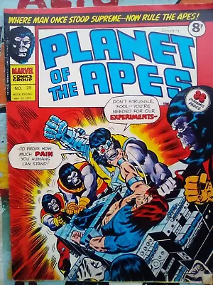 Planet Of The Apes #29 - Marvel UK - 1975 - VG CONDITION - FIRST PRINTING • £4.99