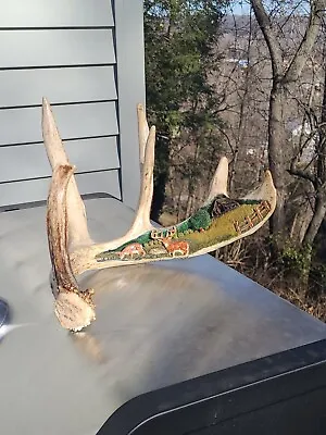 Hand Carved Deer Antler Folk Art Shed Carving Elk Moose Turkey • $350