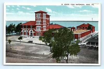 Postcard PA Erie State Fish Hatchery C1919 View I14 • $8.49