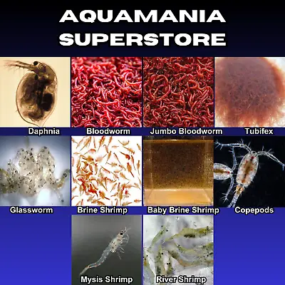 Live Fish Food(6 Pack) Tropical Marine Bloodworm Daphnia Tubifex Shrimp Copepod  • £9.99