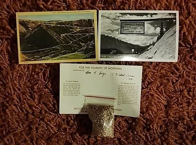 Vintage Montana Postcard Lot Cooke City Lookout Pass • $12.25