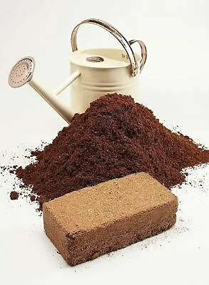 Coco Coir Compost Bricks| Organic Coco Peat | Coconutfibre Reptile Friendly • £2.99