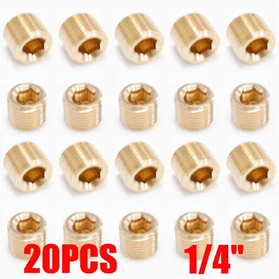 20Pcs Brass Pipe Plug 1/4  NPT Male Thread Hex Internal Head Socket Fitting • $15.85