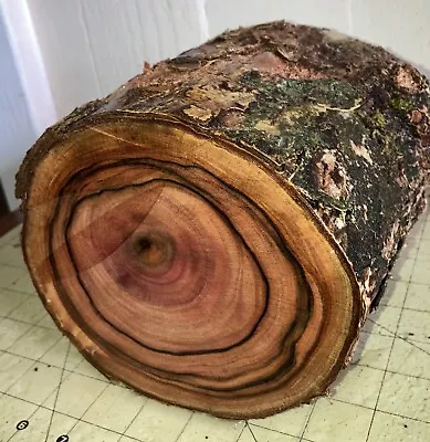 One Hawaiian Milo Wood Log~ 6 2/3  X 6 1/3  ~ Bowl Turning (#68) • $33